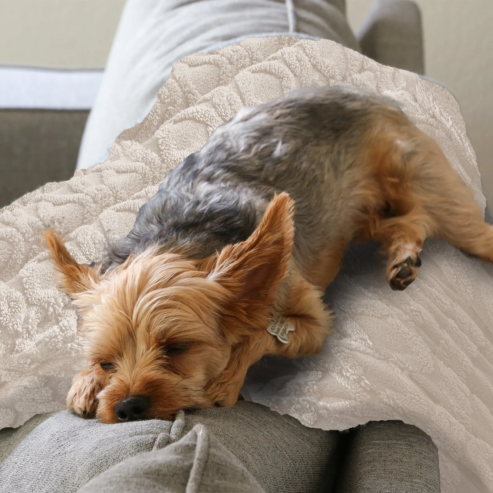 Reversible 3D Knit Sherpa Fleece Throw | Cozy All-Season | Couch, Sofa, Bed